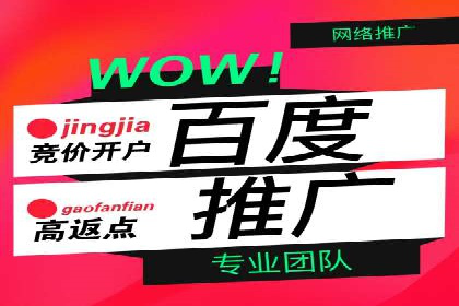 百度SEO推广公司案例分享：行业优化实战经验